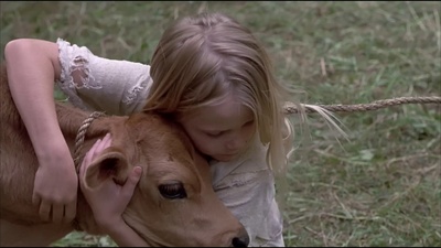 小树的故事剧照的剧照