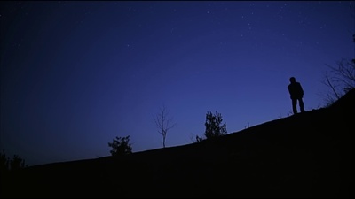 小树的故事剧照的剧照