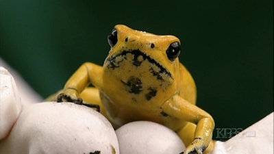 毒液疗法剧照的剧照