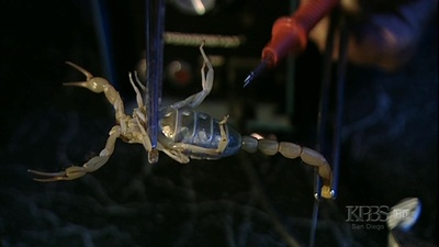 毒液疗法剧照的剧照