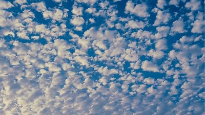 通天塔剧照的剧照