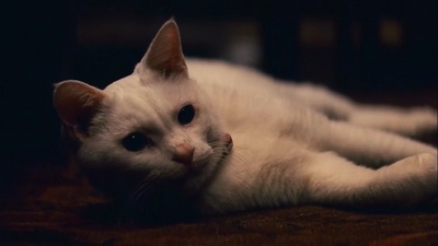 通天塔剧照的剧照