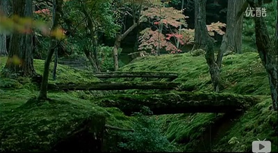 禅院秘境：梦窗剧照的剧照