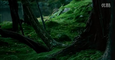 禅院秘境：梦窗剧照的剧照