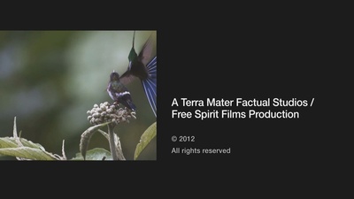 蜂鸟：宝石般的信使剧照的剧照