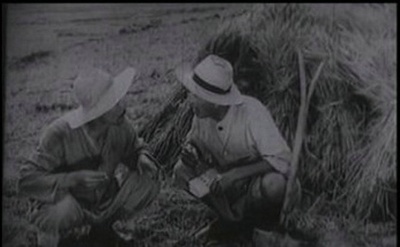 鲜花盛开的村庄剧照的剧照