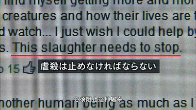 与鲸共生：海豚湾太地町的六个月剧照的剧照