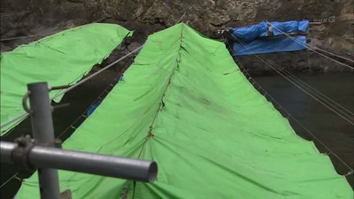 与鲸共生：海豚湾太地町的六个月剧照的剧照