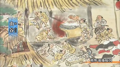 与鲸共生：海豚湾太地町的六个月剧照的剧照