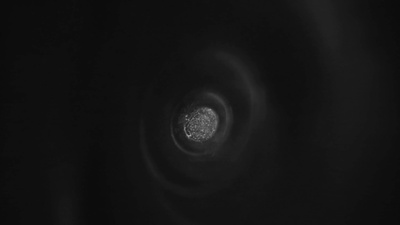 谜之音剧照的剧照