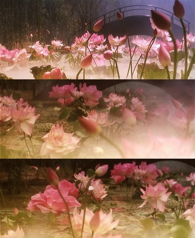 青蛇剧照的剧照