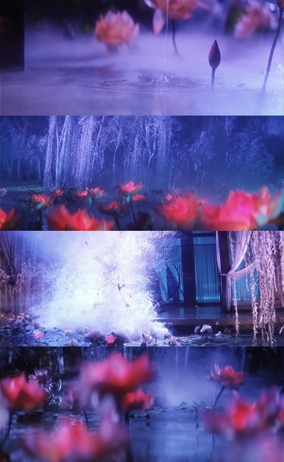 青蛇剧照的剧照