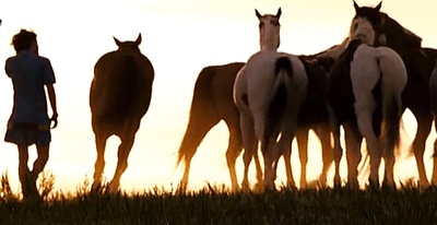 荒野生存剧照的剧照