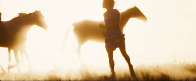 荒野生存剧照的剧照