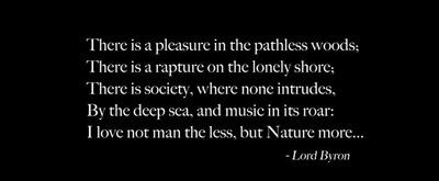 荒野生存剧照的剧照