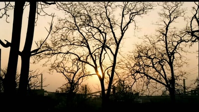 钢的琴剧照的剧照