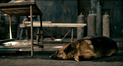 钢的琴剧照的剧照