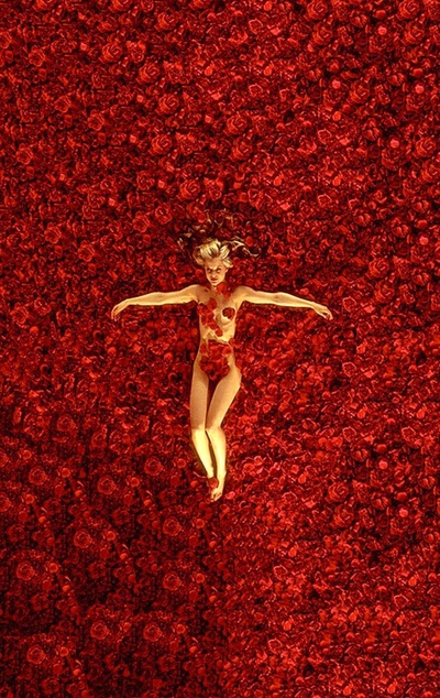 美国丽人剧照的剧照