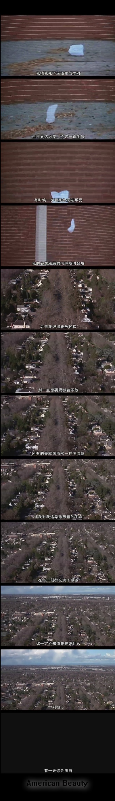 美国丽人剧照的剧照