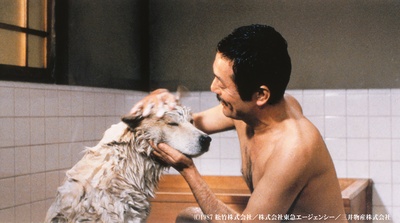 忠犬八公物语剧照的剧照