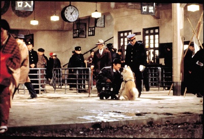 忠犬八公物语剧照的剧照