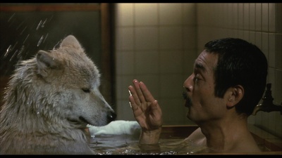 忠犬八公物语剧照的剧照