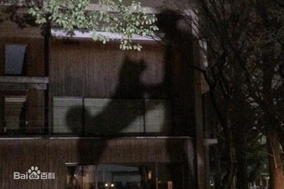 忠犬八公物语剧照的剧照