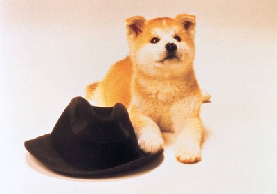 忠犬八公物语剧照的剧照