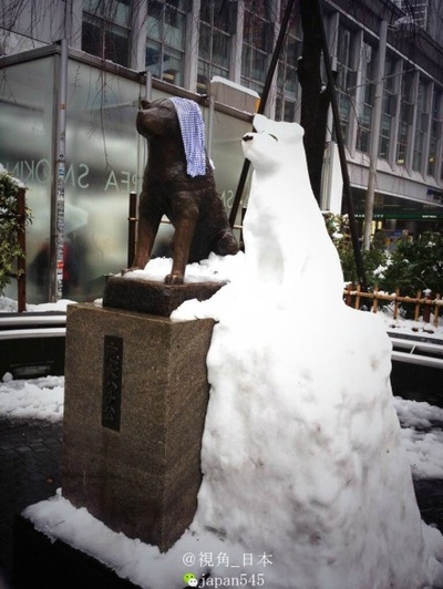 忠犬八公物语剧照的剧照