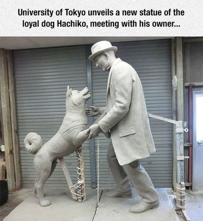 忠犬八公物语剧照的剧照