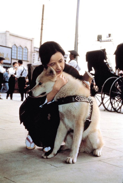 忠犬八公物语剧照的剧照