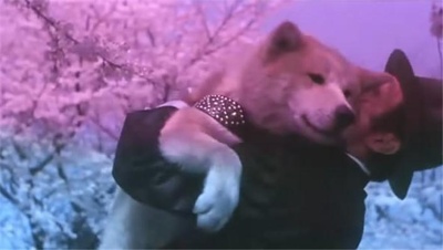 忠犬八公物语剧照的剧照