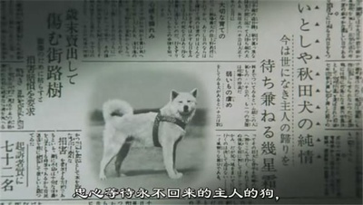 忠犬八公物语剧照的剧照