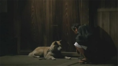 忠犬八公物语剧照的剧照