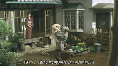 忠犬八公物语剧照的剧照