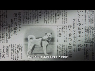 忠犬八公物语剧照的剧照