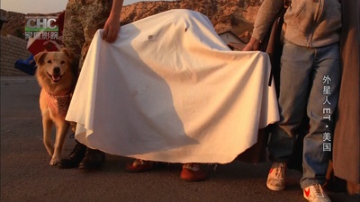 E.T. 外星人剧照的剧照