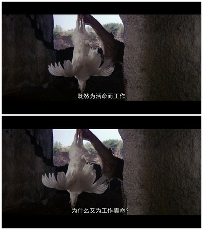 黄金三镖客剧照的剧照