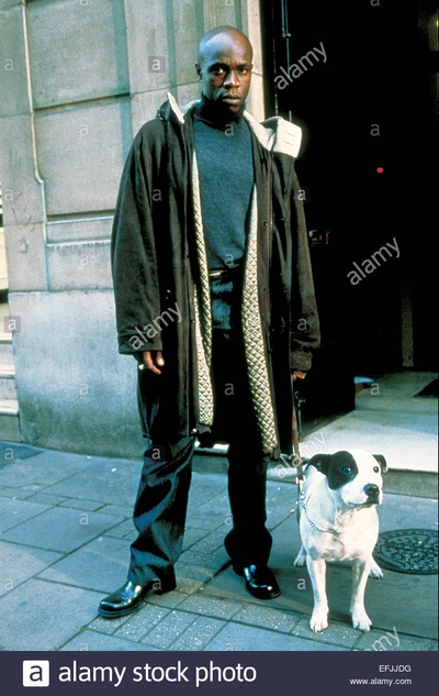 偷拐抢骗剧照的剧照