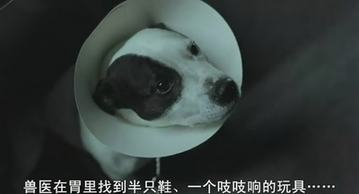 偷拐抢骗剧照的剧照