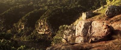 血钻剧照的剧照