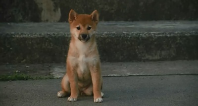 横道世之介剧照的剧照