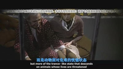 狗镇剧照的剧照