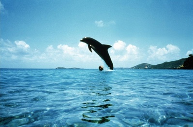 碧海蓝天剧照的剧照