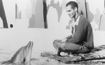 碧海蓝天剧照的剧照