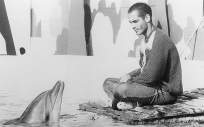 碧海蓝天剧照的剧照