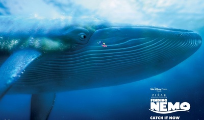 海底总动员剧照的剧照