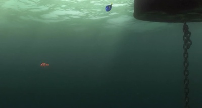 海底总动员剧照的剧照