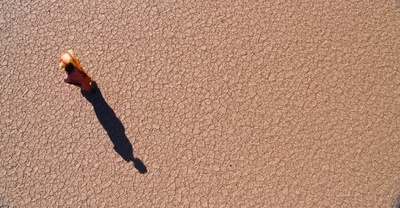 沙漠之花剧照的剧照