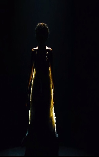 沙漠之花剧照的剧照